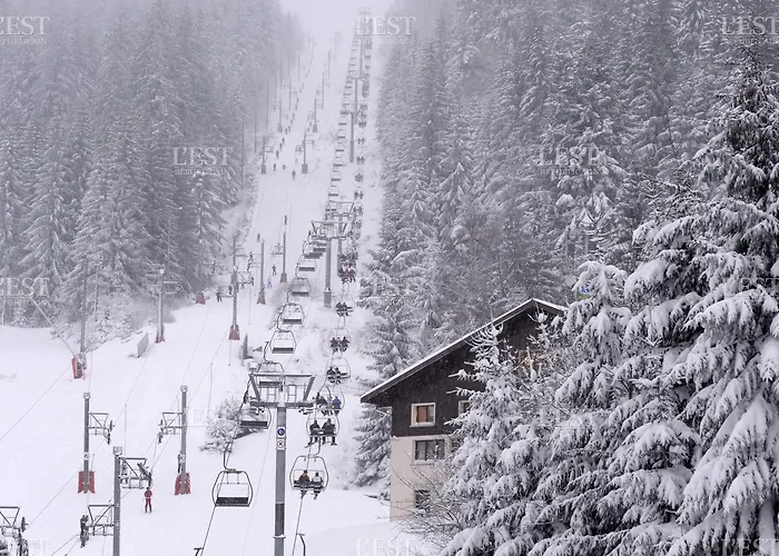 Apartment Des Ecureuil Gérardmer